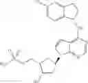 Fig. 43 - Inhibitors of E1 activating enzymes