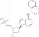 Fig. 53 - Inhibitors of E1 activating enzymes