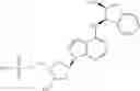 Fig. 98 - Inhibitors of E1 activating enzymes