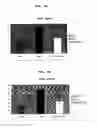 Fig. 13 - Beta secretase genes