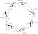 Fig. 06 - Chromone complexes