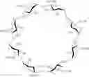 Fig. 07 - Chromone complexes