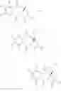 Fig. 24 - Pyrrolobenzodiazepines as key intermediates in the synthesis of dimeric cytotoxic pyrrolobenzodiazepines