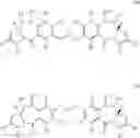 Fig. 48 - Pyrrolobenzodiazepines as key intermediates in the synthesis of dimeric cytotoxic pyrrolobenzodiazepines