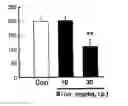 Fig. 01 - P2x receptor inhibitor