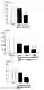 Fig. 02 - P2x receptor inhibitor