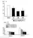 Fig. 03 - P2x receptor inhibitor
