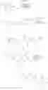 Fig. 121 - Anti-inflammatory medicaments