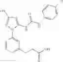 Fig. 628 - Anti-inflammatory medicaments