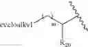 Fig. 16 - N-substituted benzene sulfonamides