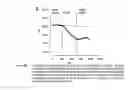 Fig. 06 - METHODS OF USING POTASSIUM CHANNEL INHIBITING COMPOUNDS