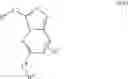 Fig. 09 - Inhibitors of c-Met and uses thereof