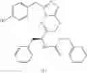 Fig. 558 - Inhibitors of c-Met and uses thereof