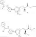 Fig. 19 - Multicyclic amino acid derivatives and methods of their use
