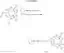 Fig. 31 - HETEROCYCLIC MODULATORS OF PPAR