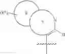 Fig. 187 - Substituted acetylenic imidazo[1,2-B]pyridazine compounds as kinase inhibitors