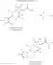 Fig. 07 - ABCA1 elevating compounds