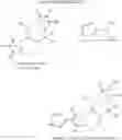 Fig. 12 - ABCA1 elevating compounds