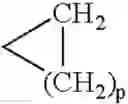 Fig. 04 - Indolylmaleimide derivatives