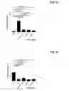 Fig. 08 - Pharmaceutical compositions of pyrimidine-2,4,6-triones
