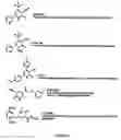 Fig. 16 - Compounds for inhibiting beta-amyloid production and methods of identifying the compounds