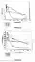 Fig. 30 - Compounds for inhibiting beta-amyloid production and methods of identifying the compounds