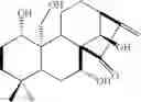 Fig. 352 - Compounds for inhibiting beta-amyloid production and methods of identifying the compounds