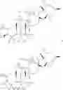 Fig. 41 - Cyclopamine analogues and methods of use thereof