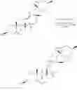 Fig. 63 - Cyclopamine analogues and methods of use thereof