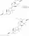 Fig. 79 - Cyclopamine analogues and methods of use thereof