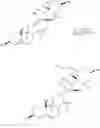 Fig. 99 - Cyclopamine analogues and methods of use thereof