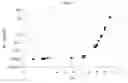 Fig. 02 - Aqueous Pharmaceutical Formulations of ER-beta Selective Ligands