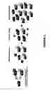 Fig. 03 - Methods and materials for assessing prostate cancer therapies and compounds