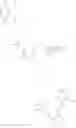 Fig. 85 - Benzimidazolyl derivatives