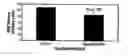 Fig. 01 - Antioxidant Components for Reduction of Nucleic Acid Damage in Companion Animals