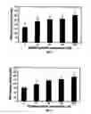 Fig. 02 - Antioxidant Components for Reduction of Nucleic Acid Damage in Companion Animals