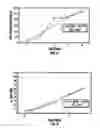 Fig. 04 - Antioxidant Components for Reduction of Nucleic Acid Damage in Companion Animals