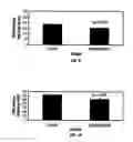 Fig. 06 - Antioxidant Components for Reduction of Nucleic Acid Damage in Companion Animals