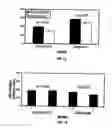 Fig. 08 - Antioxidant Components for Reduction of Nucleic Acid Damage in Companion Animals