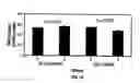 Fig. 09 - Antioxidant Components for Reduction of Nucleic Acid Damage in Companion Animals