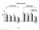 Fig. 06 - Schisandrin B preparation