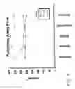 Fig. 04 - Methods of treating cardio pulmonary diseases with NO group compounds