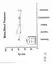 Fig. 06 - Methods of treating cardio pulmonary diseases with NO group compounds