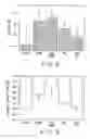 Fig. 09 - Methods of treating cardio pulmonary diseases with NO group compounds