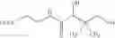 Fig. 02 - Medicaments containing pantothenic acid