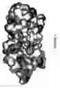 Fig. 02 - Method for the treatment of a ubiquitin conjugating disorder