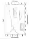 Fig. 04 - Single catalyst low, medium and high density polyethylenes