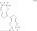 Fig. 19 - Conductive polymers from precursor polymers, method of making, and use thereof