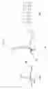 Fig. 06 - Organic polymer film and method for forming the same