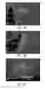 Fig. 08 - Urocortin proteins and uses thereof